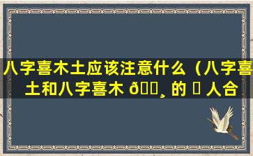 八字喜木土应该注意什么（八字喜土和八字喜木 🕸 的 ☘ 人合适吗）